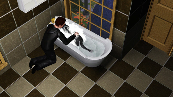 Les Sims 3: Animaux & Cie screenshot 1