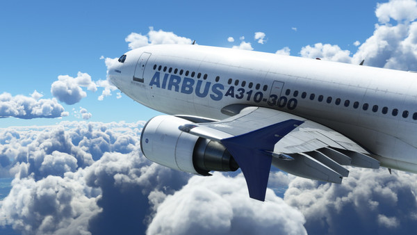 Microsoft Flight Simulator Premium Deluxe 40th Anniversary Edition (PC / Xbox Series X|S) screenshot 1