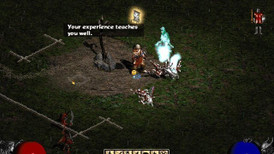 Diablo II screenshot 2