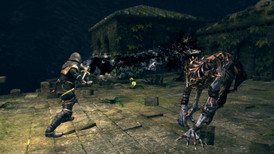 Dark Souls: Prepare To Die screenshot 2