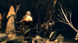 Dark Souls: Prepare To Die screenshot 3