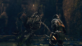 Dark Souls: Prepare To Die screenshot 4