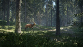 TheHunter: Call of the Wild screenshot 5