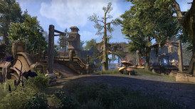 The Elder Scrolls Online screenshot 3