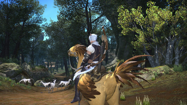 Final Fantasy XIV: A Realm Reborn Card 60 Days screenshot 1