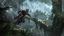 Assassin's Creed IV: Black Flag screenshot 5