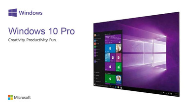 Windows 10 Pro
