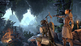 The Elder Scrolls Online: Summerset Collector Edition Upgrade PS4 screenshot 4