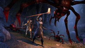 The Elder Scrolls Online: Summerset Collector Edition Upgrade PS4 screenshot 5