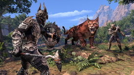 The Elder Scrolls Online - Elsweyr Upgrade screenshot 5