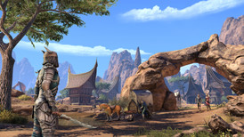 The Elder Scrolls Online - Elsweyr Collector's Edition screenshot 4