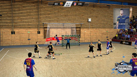IHF Handball Challenge 12 screenshot 5