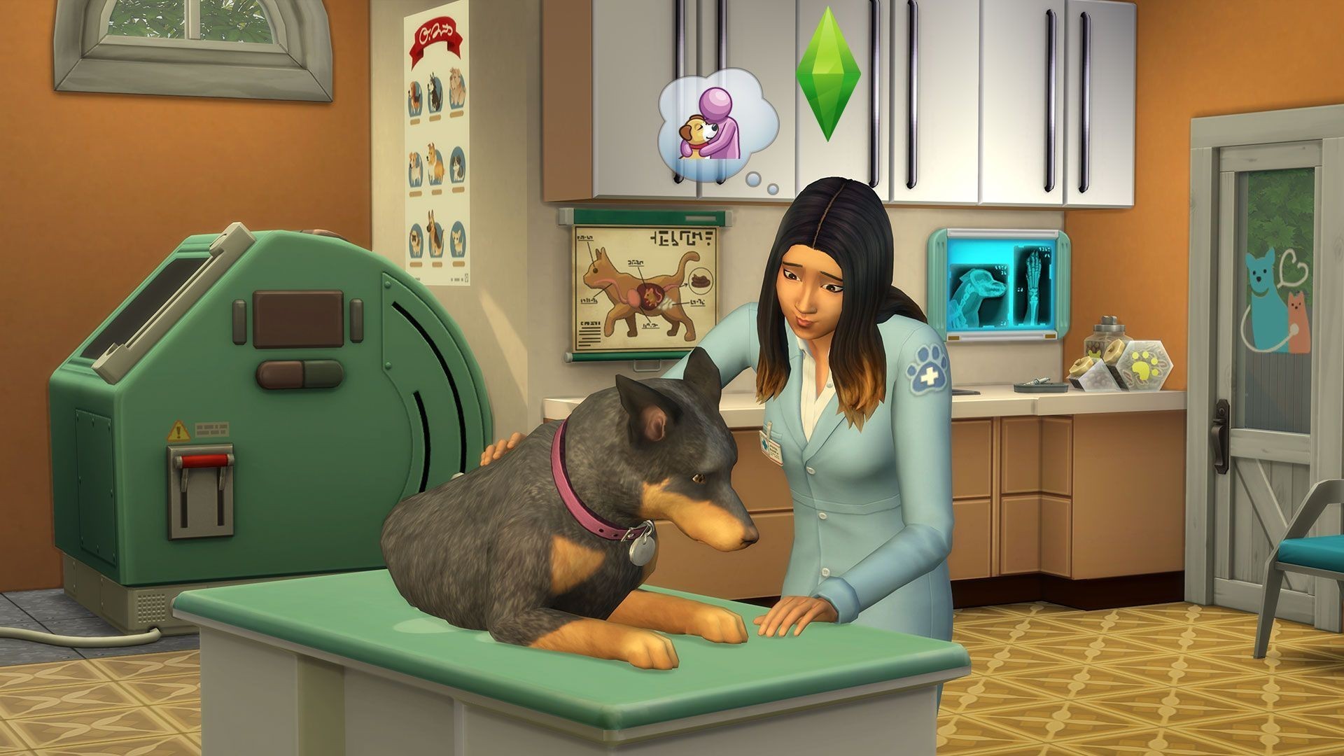 Les Sims 4 Chiens Et Chats Xbox One