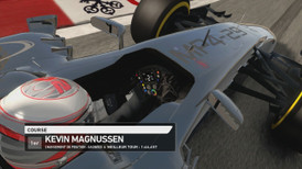 F1 2014 screenshot 4