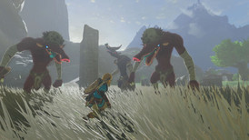The Legend of Zelda: Tears of the Kingdom Switch screenshot 2