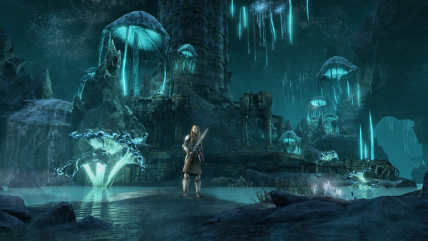 The Elder Scrolls Online: Greymoor Collector's Edition Upgrade (Xbox ONE / Xbox Series X|S) screenshot 1