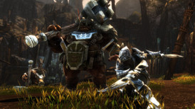 Kingdoms of Amalur: Re-Reckoning Fate Edition screenshot 2