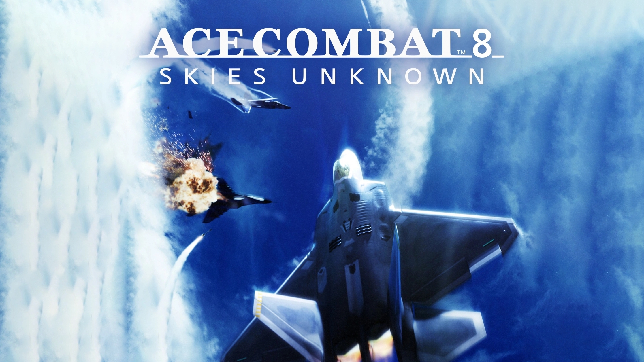 Ubetydelig At accelerere Slumkvarter Buy Ace Combat 8 Other
