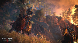 The Witcher 3: Wild Hunt - Expansion Pass screenshot 2