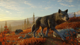 TheHunter: Call of the Wild - Yukon Valley screenshot 3
