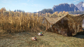 TheHunter: Call of the Wild - Duck and Cover Pack screenshot 4