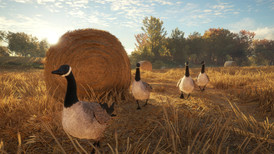 TheHunter: Call of the Wild - Wild Goose Chase Gear screenshot 5