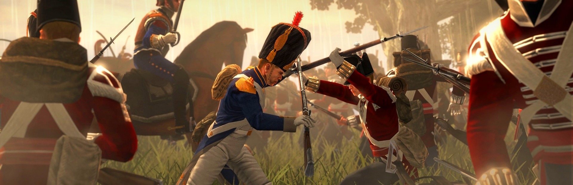 Banner Total War: Empire and Napoleon GOTY