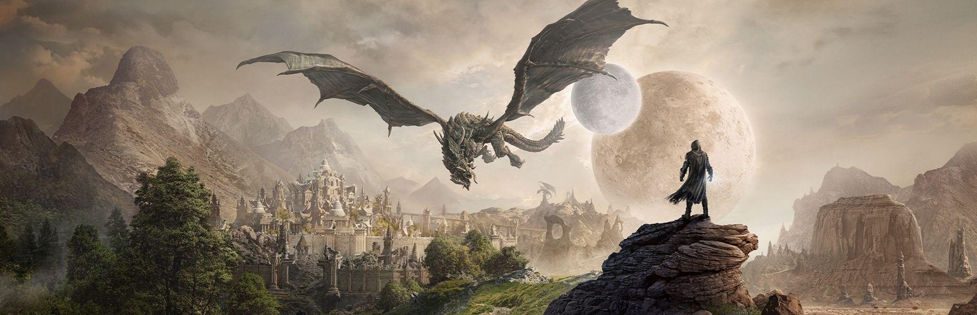 Banner The Elder Scrolls Online - Elsweyr Collector's Edition