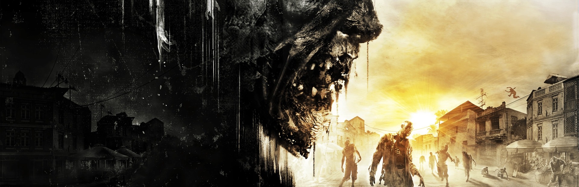 Banner Dying Light: The Following