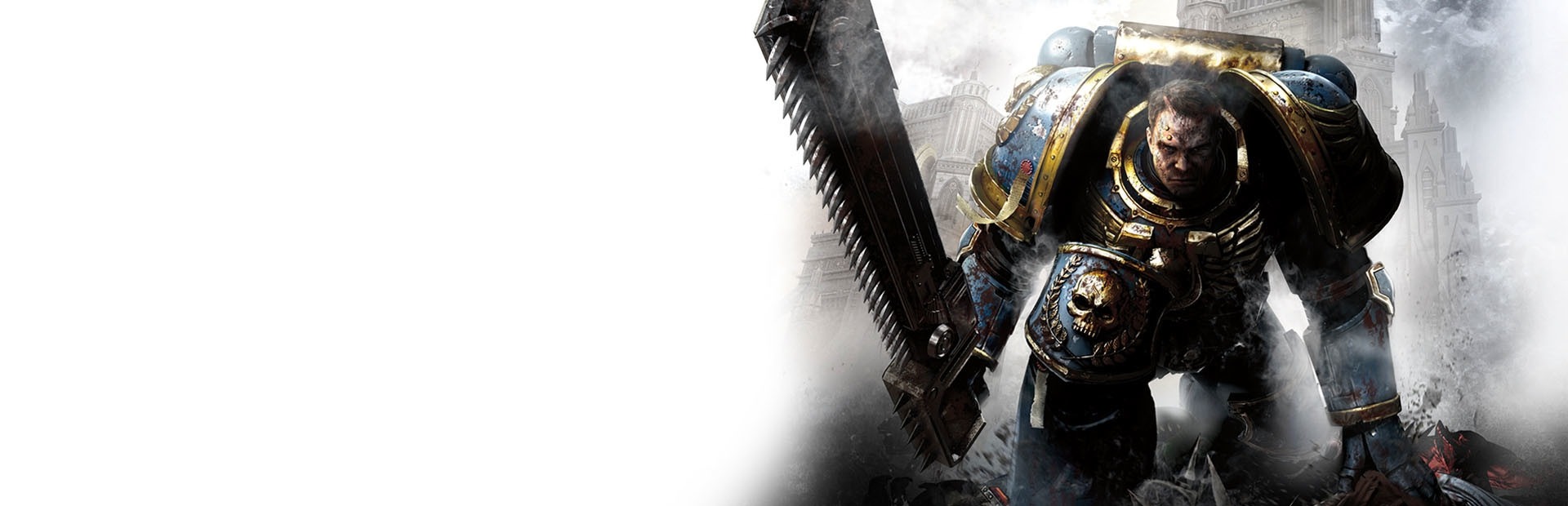 Banner Warhammer 40,000: Space Marine - Anniversary Edition