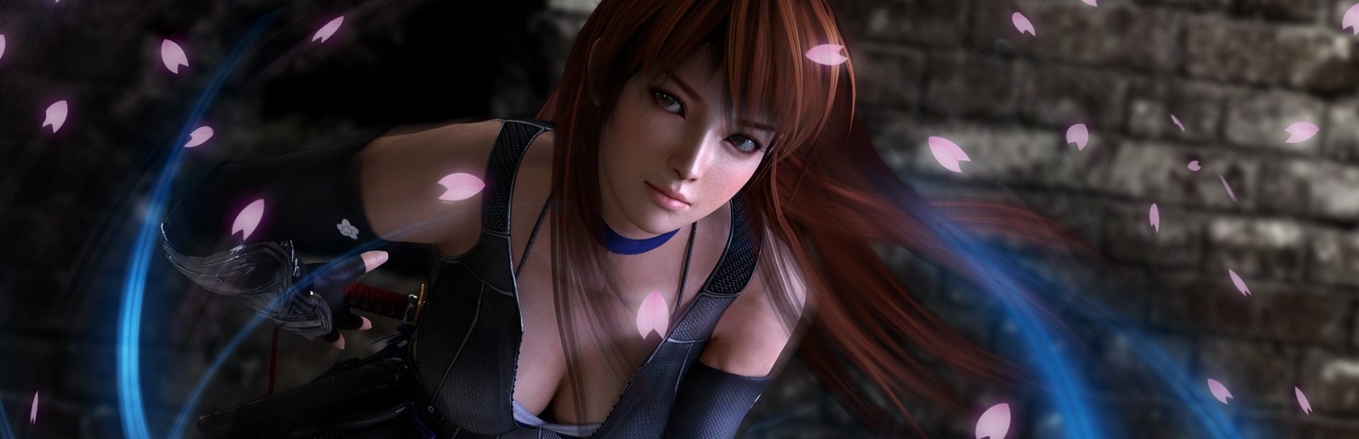 Banner Dead or Alive 5: Last Round